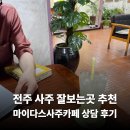 전주 사주 잘보는곳 추천 마이다스사주카페 취준생 취업고민 타로 추가 상담 후기