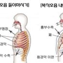 복식호흡﻿ 이미지