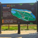 평해사구습지 | 경북 울진 여행 평해사구습지공원과 월송정 맨발걷기