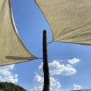 짱짱이네김밥 이미지