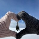 베이스캠프 | 삿포로 베이스캠프 비에이 투어 후기 - 준페이 웨이팅 없는 찐투어, 내돈내산 후기