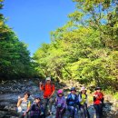 한라산 제2농장 이미지