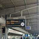 [8/23] 심리극 속 나를 찾는 여행 : 나를 또 다시 외치다 | 7. 유럽 스위스이탈리아 신혼여행- 이탈리아 3일차 : 피렌체 이동 /피렌체 가죽시장/ 곱창버거/ 트러플...