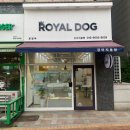 로얄독 강아지분양 화성동탄점 이미지