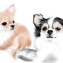 감자장군이네 수제간식 이미지