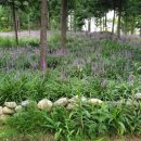 즐거운 우쿨렐레 이미지