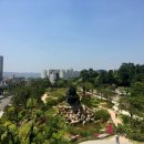 숲 카카오 검색결과