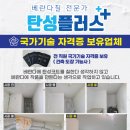 동해 석미아데나 더퍼스트 이미지