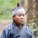 뿌리깊은나무 이미지