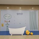 재환농장 | 2025.06 결산