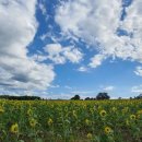 연천 호로고루 이미지