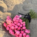 우리만의여름 | [웨딩촬영부케]우리만의 여름부케후기💐