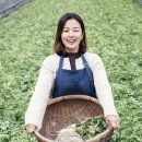 욜로 이미지