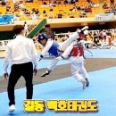 백호태권도장 이미지