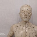 기능발전 이미지