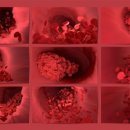 덴탈맑음기공소 이미지