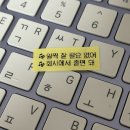 Stray Kids 밀린 콘서트+팬미팅 후기..