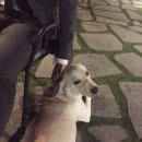 (유)보경 이미지