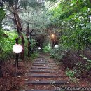 꽃피는 산골 이미지