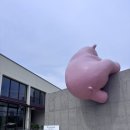 망고빙수가 맛있는 핑크 곰돌이 🐻 칠곡 대형카페 디브몽트