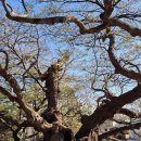 행정사감병기사무소 이미지