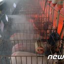 김용빈농장 이미지