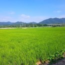 김성호농장 이미지