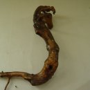 약수장여관 이미지