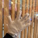 새벽시장 | 울산 태화동 맛있는 석화찜에 노포감성 제대로인 은이네새벽시장 내돈내산 후기