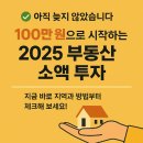 2025 부동산 소액 투자, 100만 원으로 어디부터 시작해야 할까?