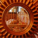 숲속의 예쁜펜션 이미지