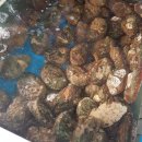 무지개 회 식당 이미지