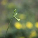 노루땅농장 이미지