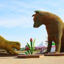 울산동물영상센터 이미지