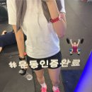 주식회사 더랩스휘트니스 독산 | [서울/금천구] 독산동헬스장 독산동PT 구디헬스장 랩스휘트니스 건강관리 솔직후기