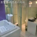 디자인팝호텔 | [광화문/호텔] 호텔팝 리즈프리미어 깔끔하고 조용한 분위기 덕분에 출장객에게도 인기