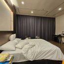 리라소프트 | 세부한달살기 27일차/나만 알고 싶은 카페 니모브루/코코망고/세부 치킨맛집 큐브나인 치킨
