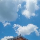 장수두부촌 | 어른 가족들이 함께 식사하기 좋은 경주 장수두부촌(ft.기본반찬 11가지)