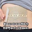 (주)팻라인 | 다이어트 중 붓기관리템 찾는다면? 팻랩 브로멜라인 패치 후기