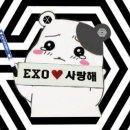 베이미 이미지