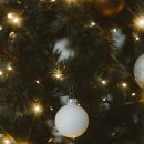 바이오테크(Biotech) 이미지