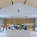 로틸리아 | 23&#39; 5월 제주 | day2 ::스타벅스 용담 • 제동목장 • 블루보틀 제주 • 보롬왓 • 갯무꽃밭 • 올레...