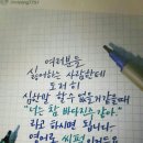 콩깍지 - 전주시 완산구 태조로 18 | 콩깍지