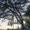 은계약수터 이미지