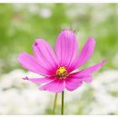 신흥근린공원 이미지