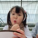 다인농장 이미지