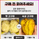 해뜨레 농장 네이버블로그