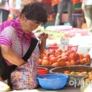 엿새할인마트