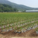 (주)서진산업