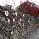 충효큰마을 이미지